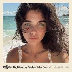 Bobina, Marcus Dielen - Mad World