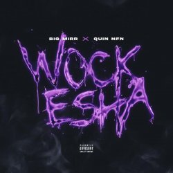 Big Mirr, QUIN NFN - Wockesha