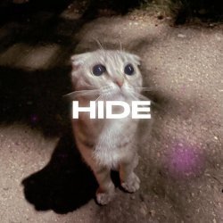 Rendow, ISVNBITOV - Hide