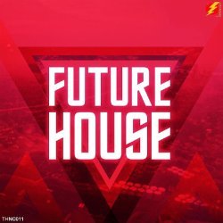 Insane House - Future House