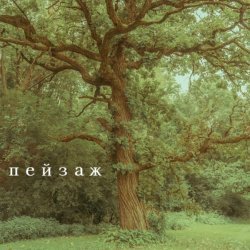 пейзаж - если я