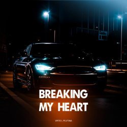 PLVTINA, VRTEI - Breaking My Heart