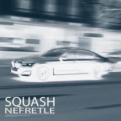 Nefretle - Squash