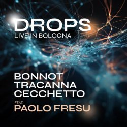 Bonnot, Tino Tracanna, Roberto Cecchetto, Paolo Fresu - Developments (Live)