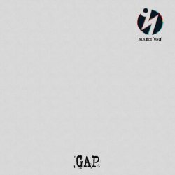 Ninety One - GAP