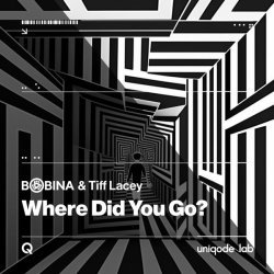 Bobina, Tiff Lacey - Where Did You Go? (Chill Night Mix)