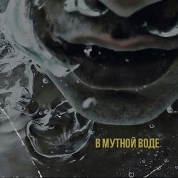 САТИСФАЕР - В мутной воде