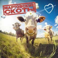 скоты - мартовские скоты