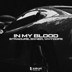 STRACURE, BXNER, whydope - In My Blood