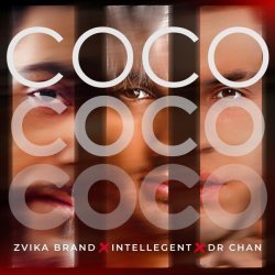 Zvika Brand, INtellegent, Dr. Chan - Coco