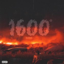 Lewie - 1600º Burns