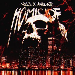 Wels, ANELARE - HOMICIDE