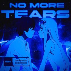 SXUNDMANE, DVD's - no more tears