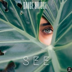 Dance Bridge - See