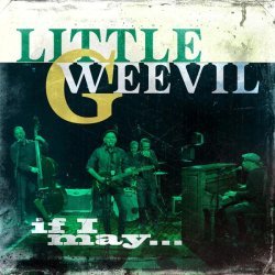 Little G Weevil