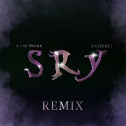 Lane Noire, Moonkit - SRY (Remix)