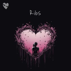 fenekot - Ribs