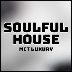 Alan De Laniere - SOULFUL HOUSE