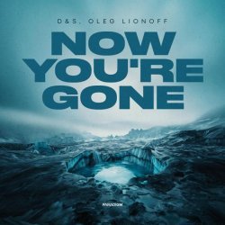 D&s, Oleg Lionoff - Now You're Gone