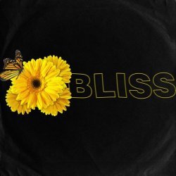 Kian - Bliss