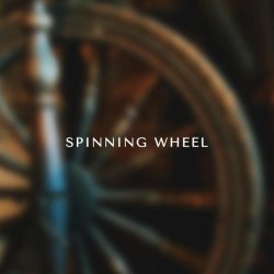 Alexander Demidov - Spinning wheel