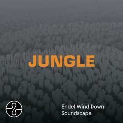 The Blaze - JUNGLE