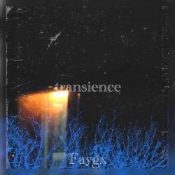 Faygx - transience