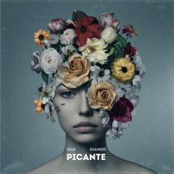 MsE, DIANIDI - Picante