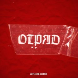 Asylllum, LeanJe - Отряд