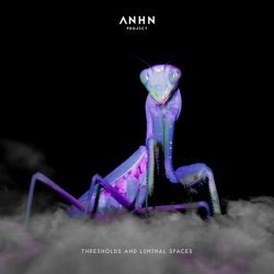 ANHN Project - Thresholds and Liminal Spaces