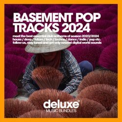 Sarah Stansfield - Basement Pop Tracks 2024