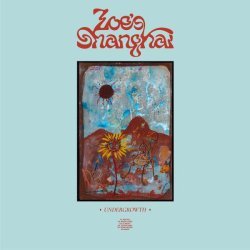 Zoe's Shanghai - Some Words