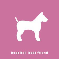 Hospital - Best Friend